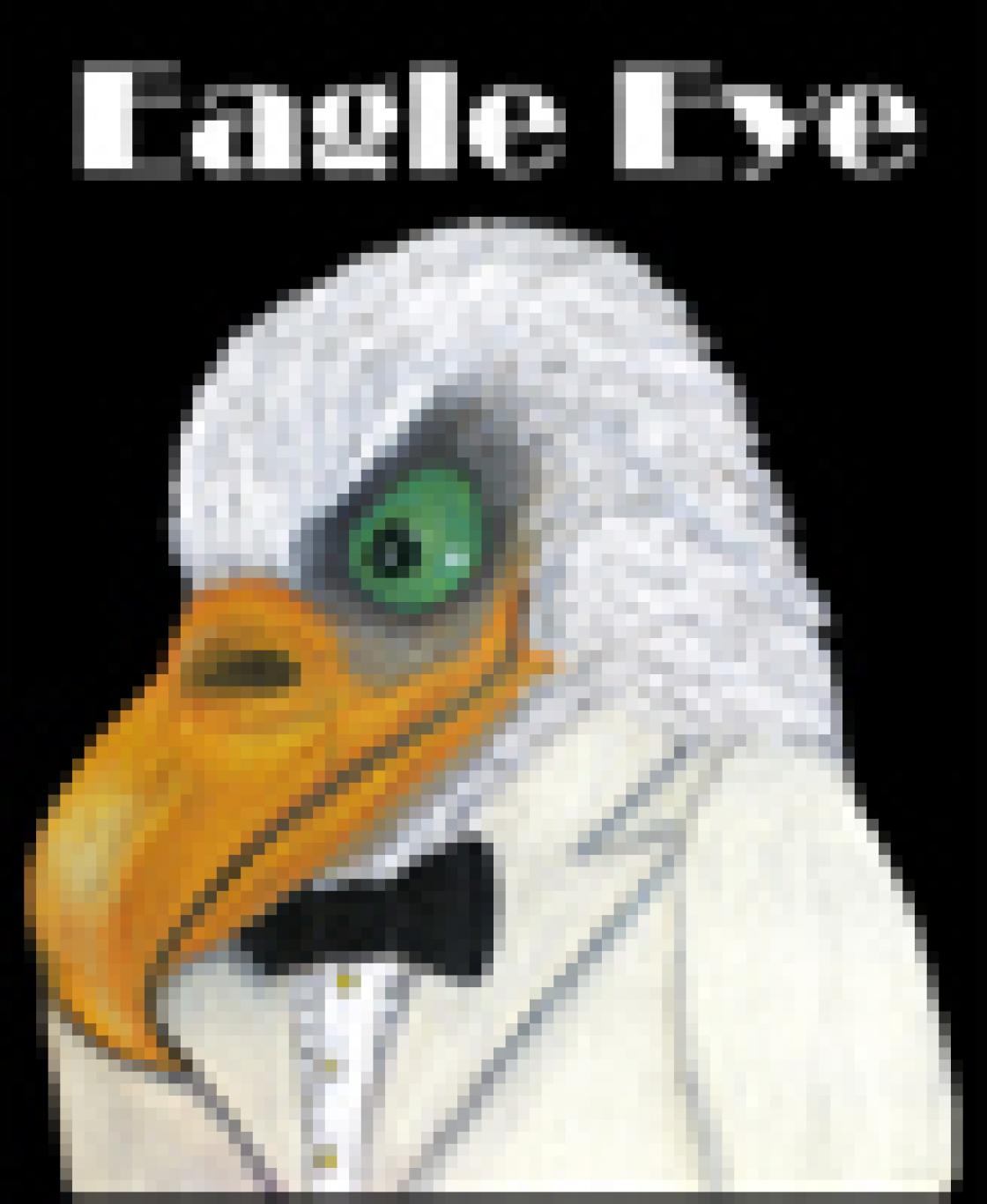 eagle eye napa